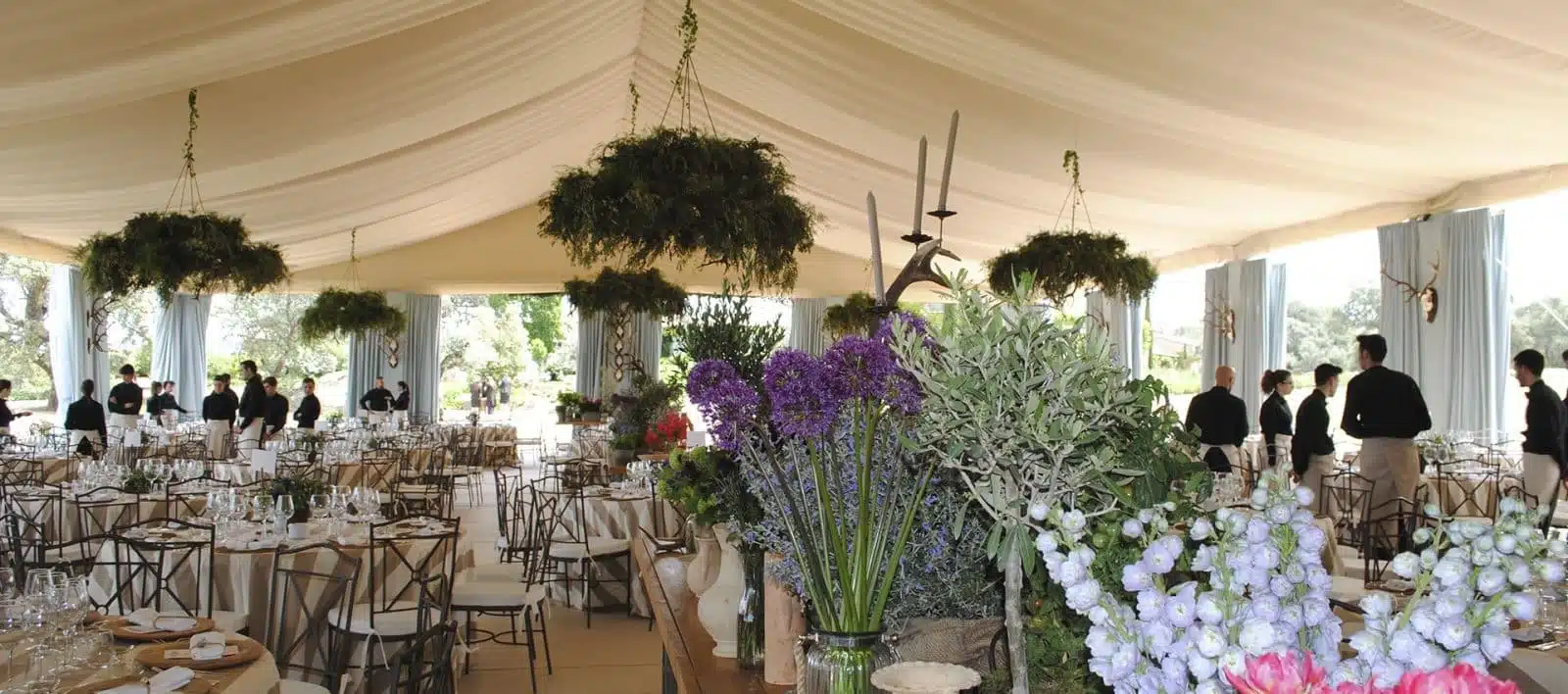Carpas para eventos y bodas en casa - Tolder