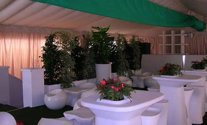 Carpas de 8x12 dos aguas - Tolder