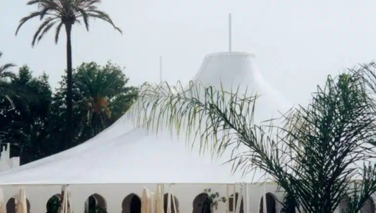 Conoides carpa biconica malaga tolder