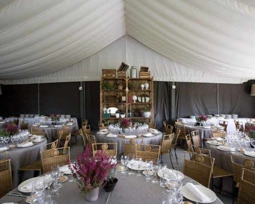 carpas-para-boda-tolder (36)