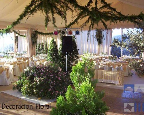complementos-carpas-tolder (6)